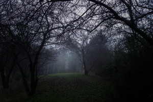 女单决赛预测:王曼昱能否卫冕陈梦能否绝地反击 女单决赛预测:王曼昱能否卫冕陈梦能否绝地反击